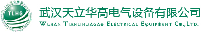 這是關(guān)于武漢天立華高電氣設(shè)備有限公司的logo圖片，歡迎大家來(lái)公司網(wǎng)站！